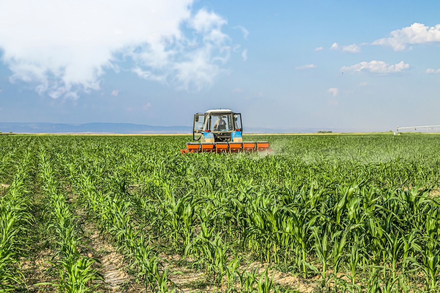 A tractor in a vast field of crops under a clear sky.