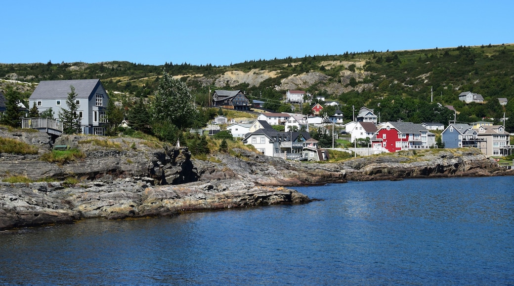 landscape along the the Baccalieu Trail; small fishing community of Brigus located along the Conception Bay, Newfoundland and Labrador; Canada
