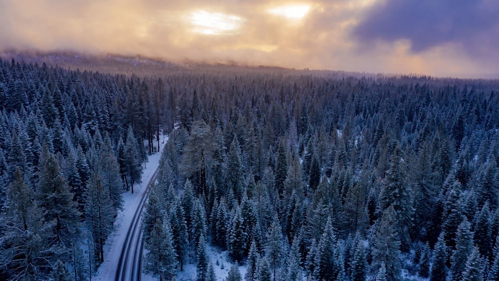 A snow-covered forest with a winding road.