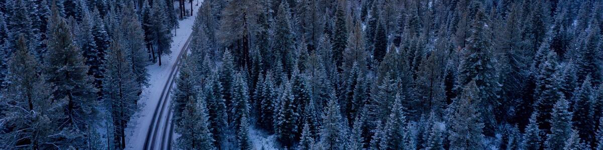Aerial view of cars parked along a snow-covered road in a forest in Shingletown, California, USA. People are visiting the area for winter recreation.