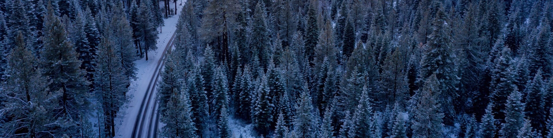Aerial view of cars parked along a snow-covered road in a forest in Shingletown, California, USA. People are visiting the area for winter recreation.