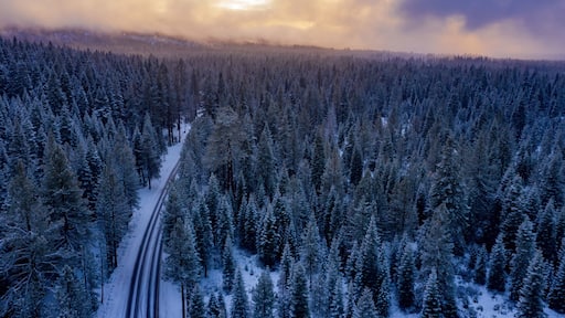 Aerial view of cars parked along a snow-covered road in a forest in Shingletown, California, USA. People are visiting the area for winter recreation.