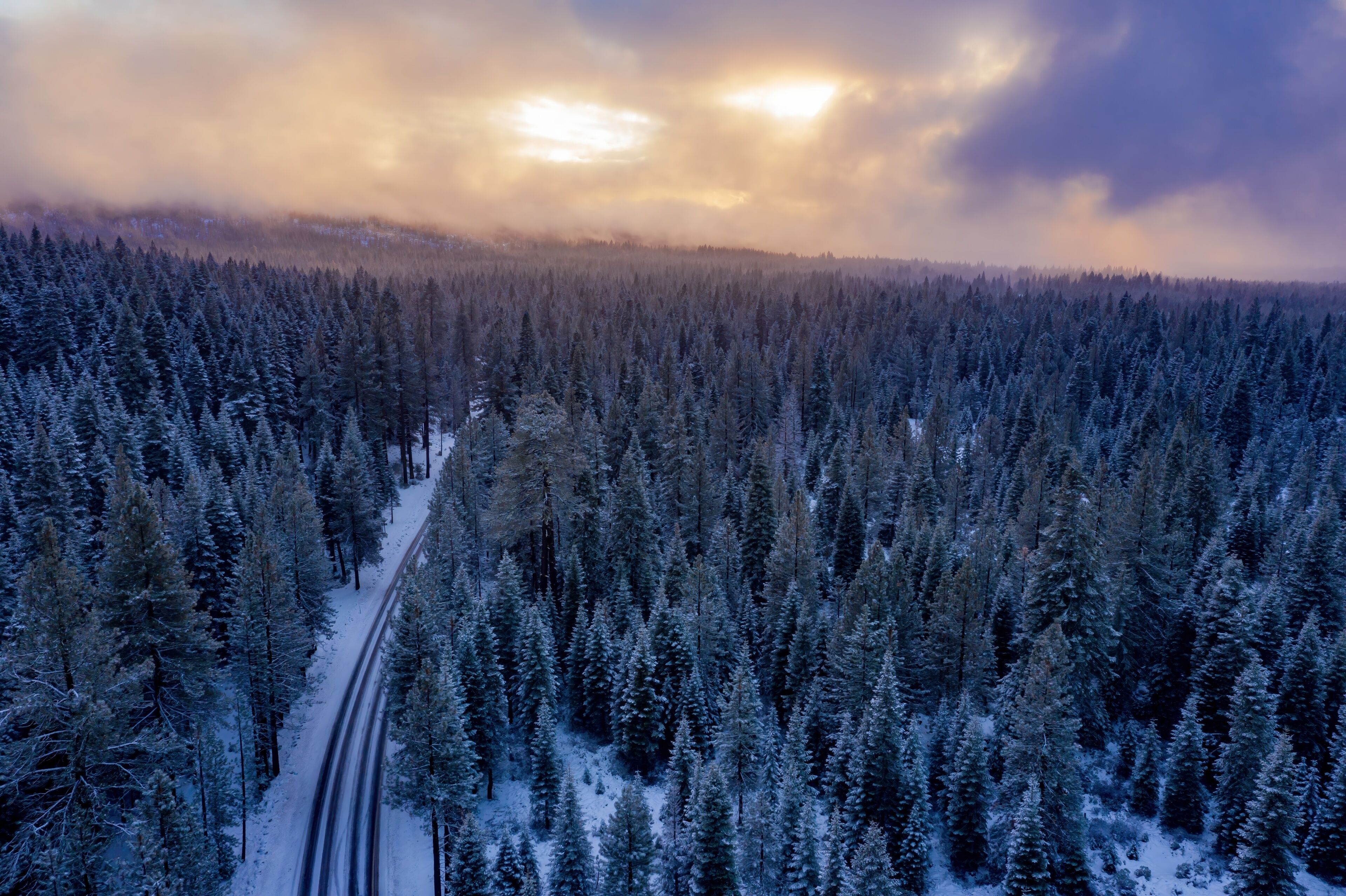 A snow-covered forest with a winding road.