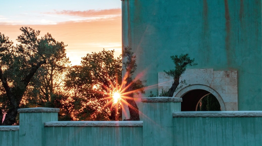 St. Theresa Chapel, Anselmo Vineyards.
Beautiful vineyard with chapel, horses, ponds and rolling hills.