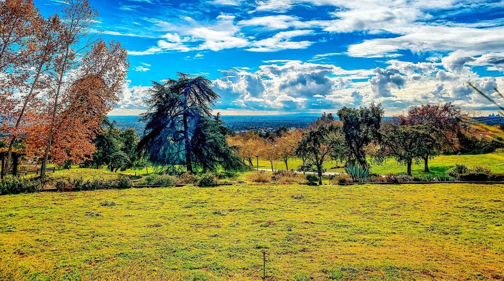 This photo was taken on the grounds of the Sierra Madre retreat center. I was trying to capture the sky in between rain storms. The grounds are usually open daily just keep in mind that they do hold silent retreats so be mindful of that as you walk the grounds.