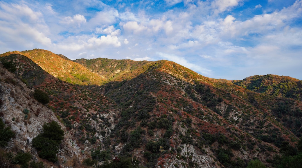 Santa Anita Canyon is a canyon in the San Gabriel Mountains, within the cities of Sierra Madre, Monrovia, and Arcadia in Los Angeles County, California.