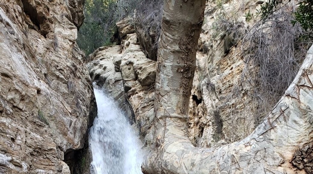 Black star falls ..was a nice hiki ..difficult medium.. total 7 miles nice experience a lot of parking space, we take are dog and was nice.. ENJOY🐾❤