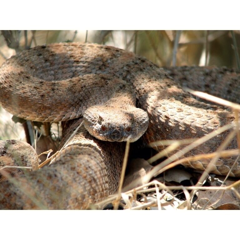 Last week on a black star canyon hike