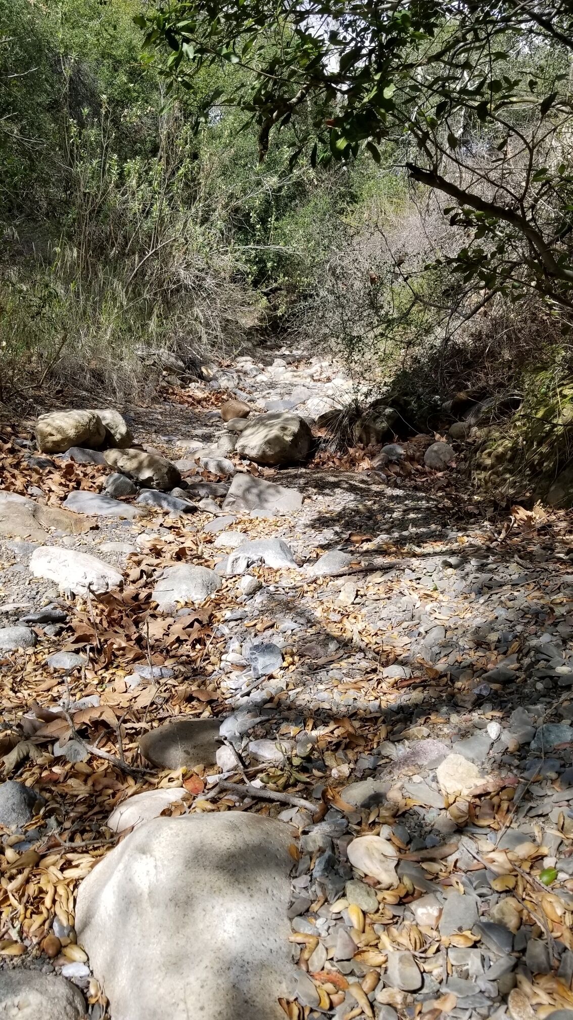 5 hour hike with some awesome rock climbing 
