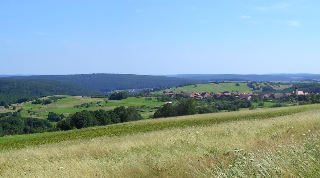 Waldberg