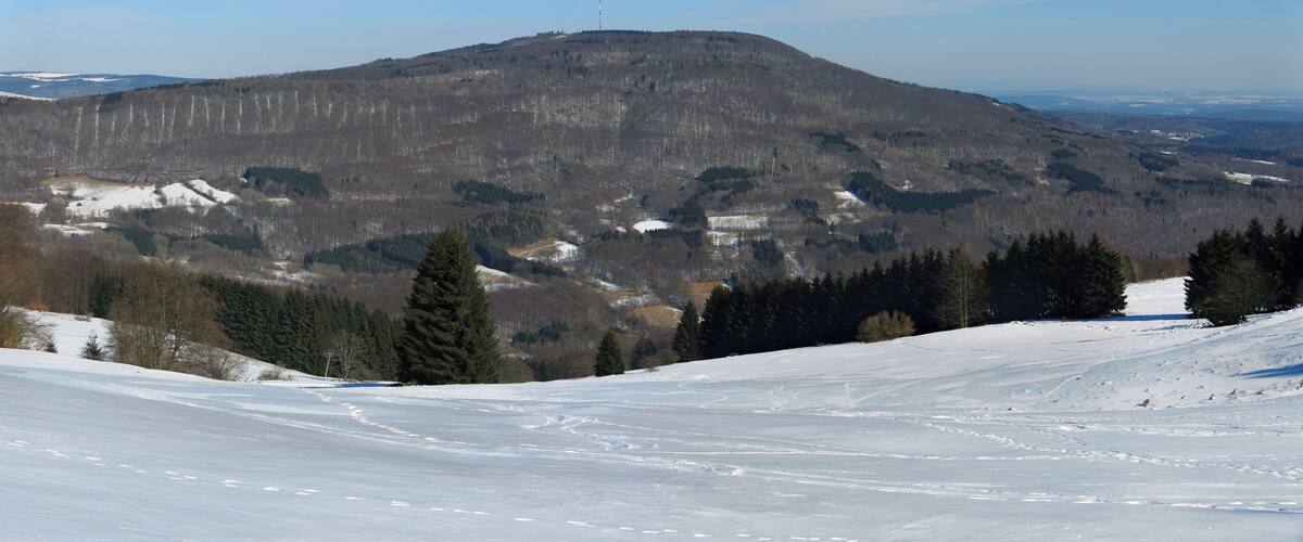 A snow-covered mountain with a clear sky.