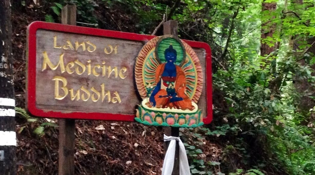 Wonderful place. Good vibes