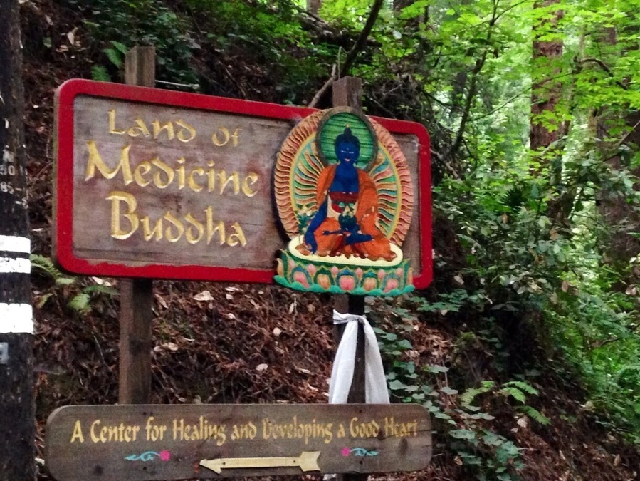 Wonderful place. Good vibes