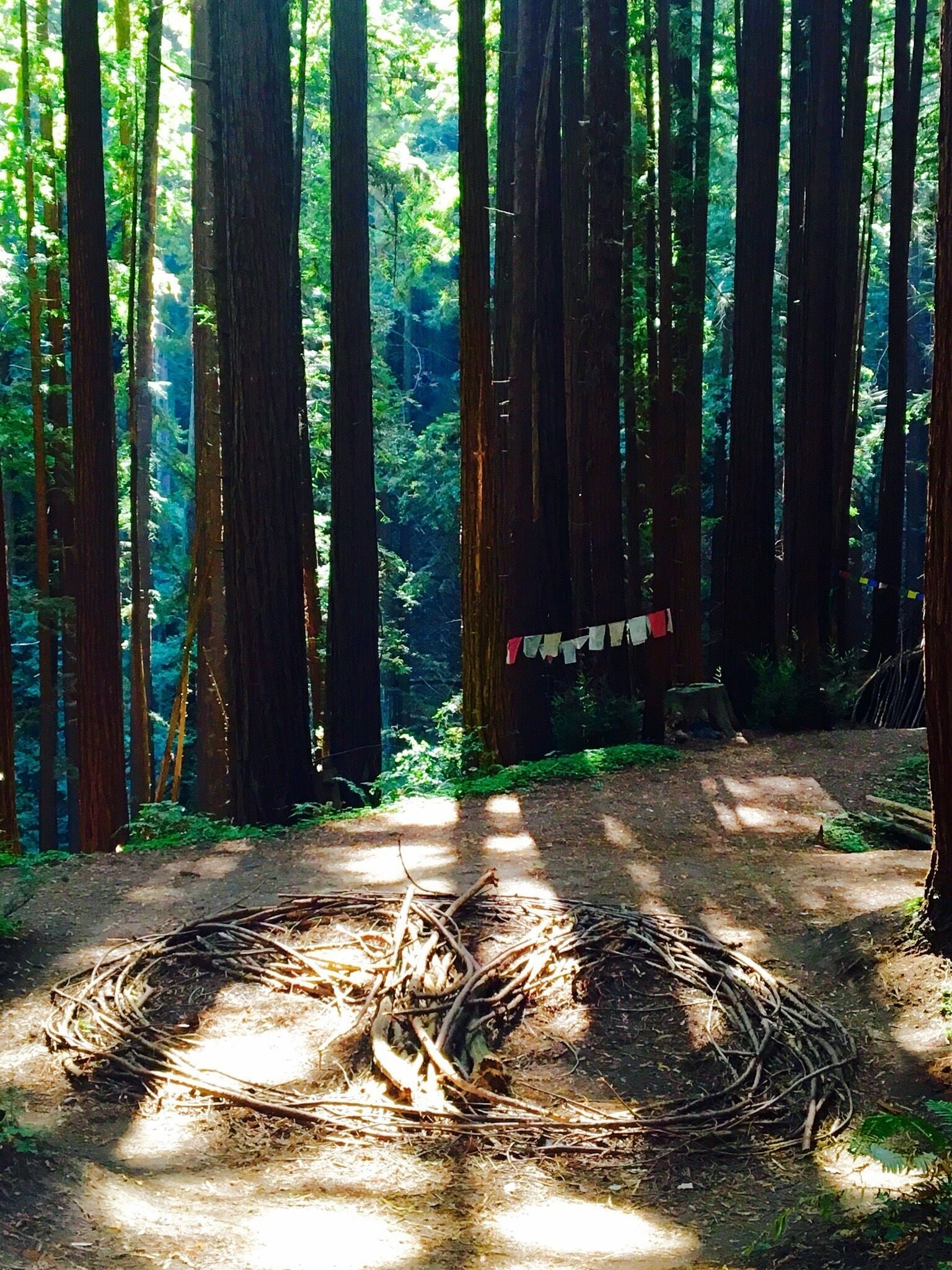  The trails in LMB are not in any published trail books since it is on private land so it is only known by word of mouth, making it very uncrowded. Although it is private you are allowed to walk through the grounds and onto the trails. The loop is 6.5 miles with a wonderful moderately steep beginning section (depending on which way you go) with well spaced switchbacks. 