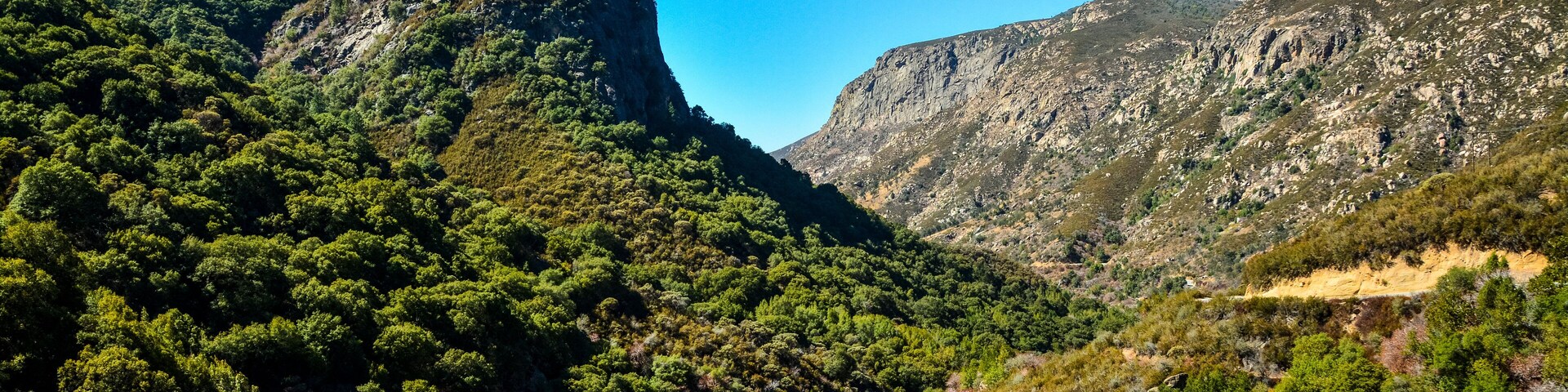 Un paisaje montañoso con densos bosques verdes y escarpados riscos.
