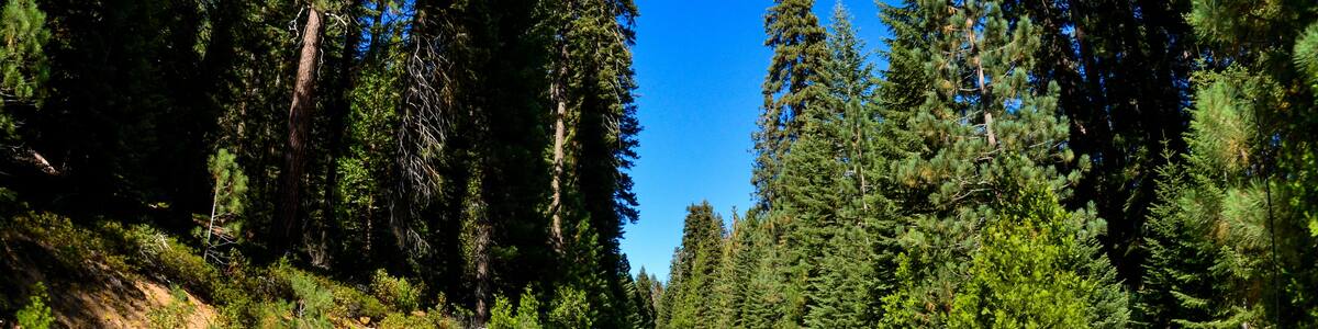 Mountains in California