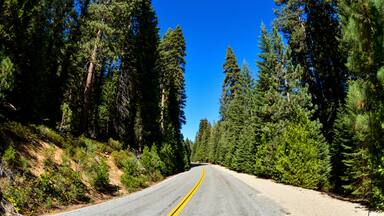 Mountains in California