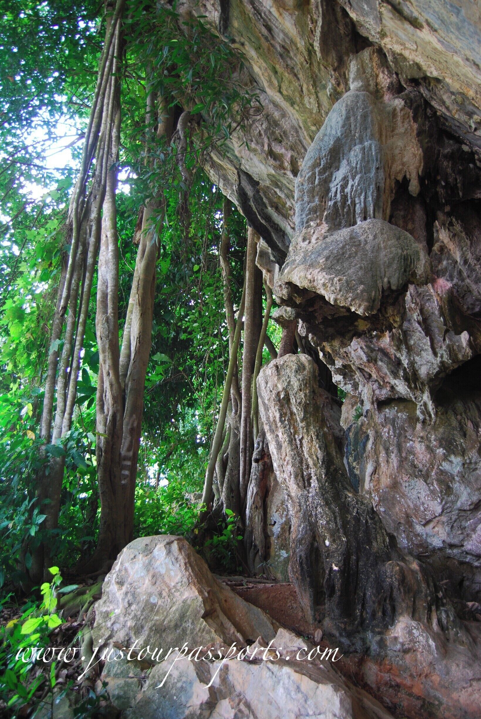 We were searching for one of the Lenggong Valley UNESCO World Heritage sites located at N5 7 34.30 E100 58 0.09. Unfortunately we could not find it, despite having a GPS, but we found this awesome rockface/ cave instead. I am not 100% sure that it is where I marked it on the map - sorry! The area was like a small park with an overgrown playground and a sign reading "Taman Awam Guak Tok Giring". It also has the largest elephant ear plants we have ever seen! The formations and trees growing up the rockface were awesome. 