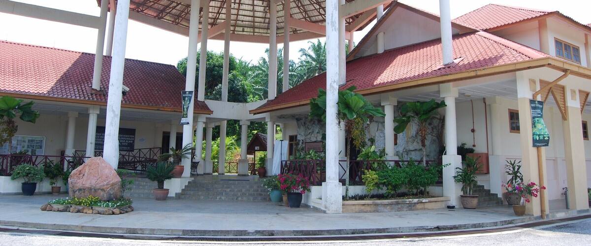 A covered pavilion with a tiled roof, surrounded by potted plants and a large rock centerpiece.