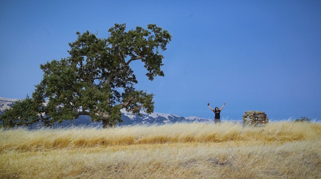 Beautiful landscape 😍