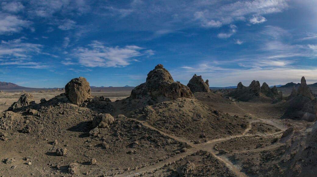 Trona