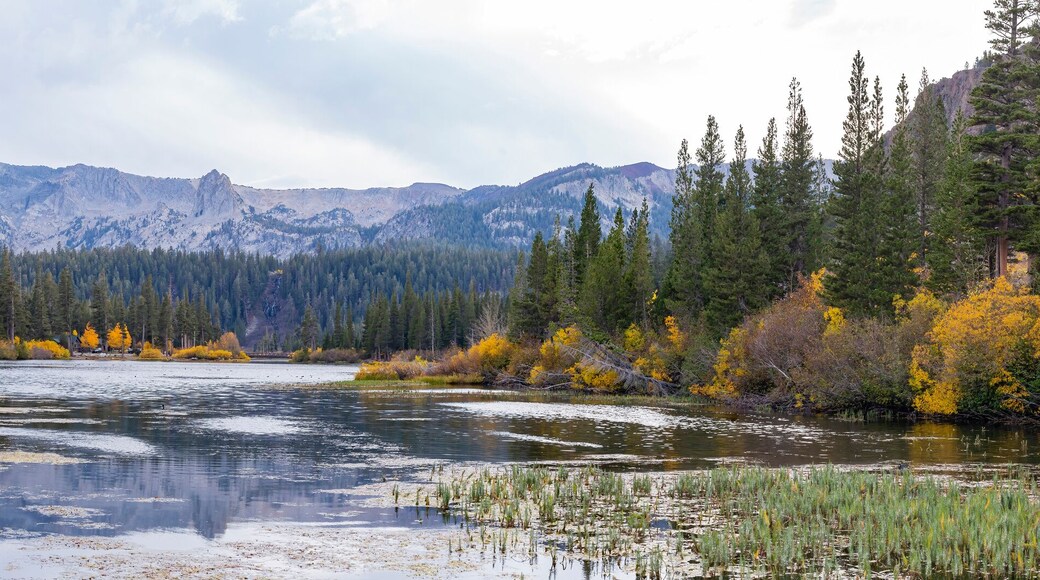 Overcast view of the fall color of Twin Lake of Mammoth Lake