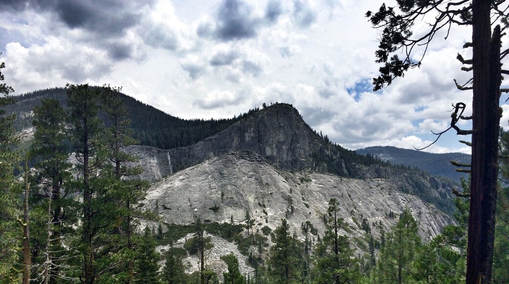 Amazing off the beaten path hike that elevates to 10000 ft!