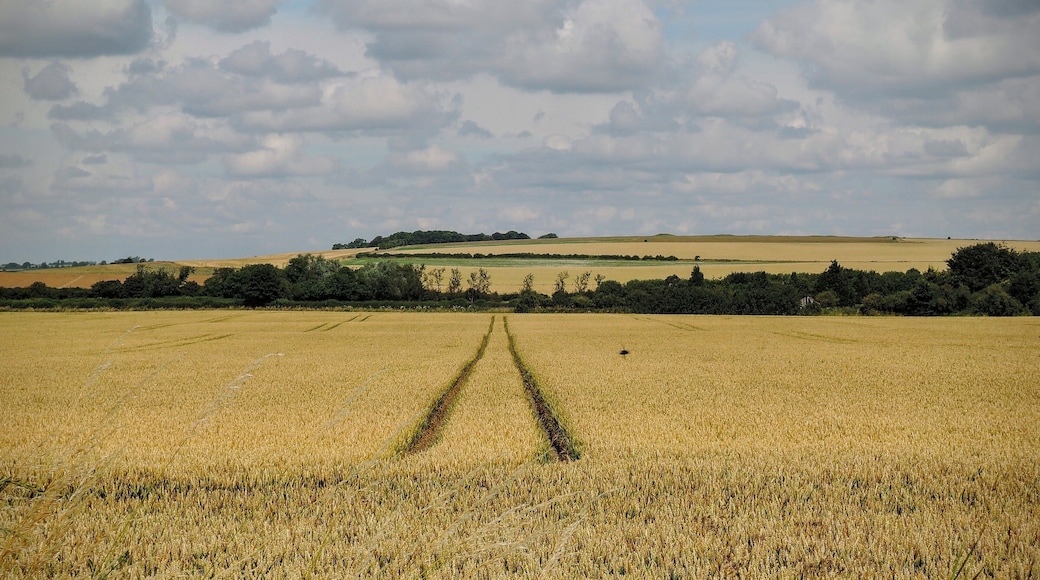 Avebury, UK
