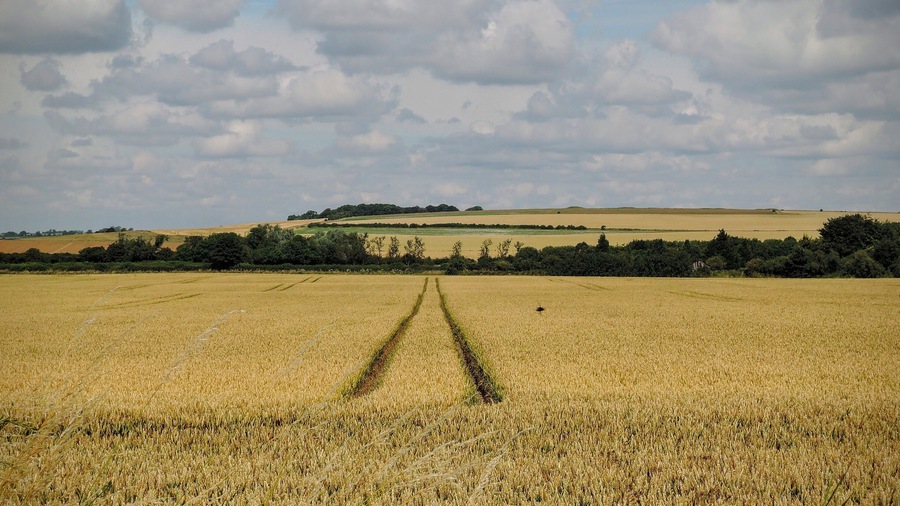 Avebury, UK