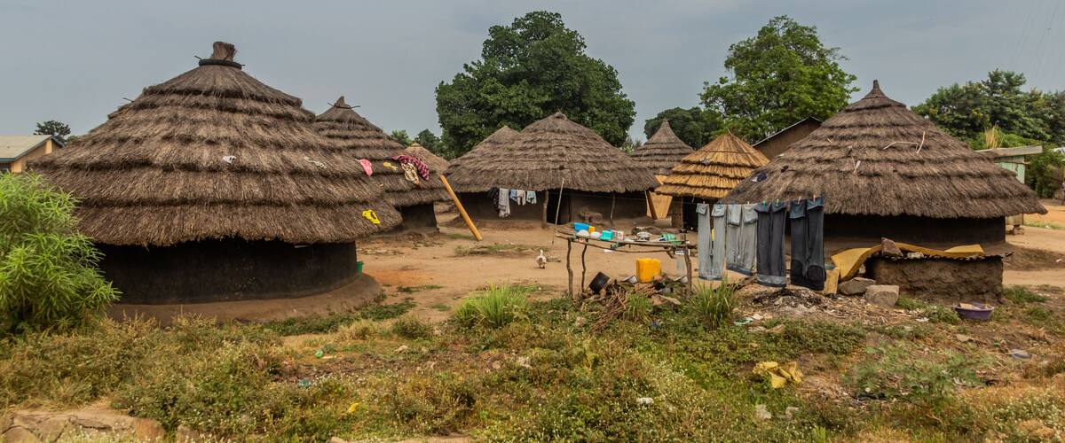 Thatched-roof huts in a rural setting with greenery and trees in the background.