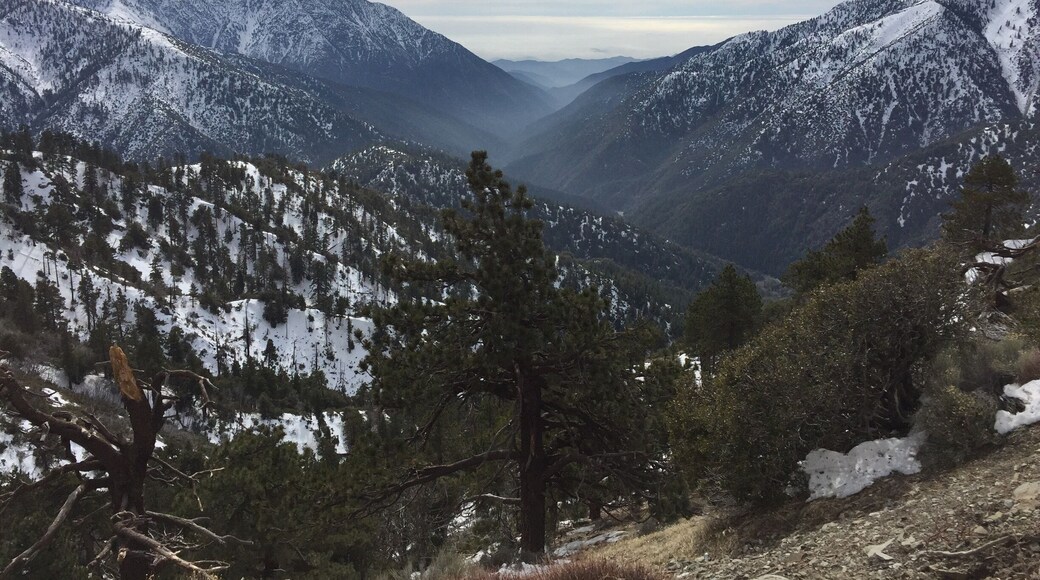 About 5 miles south of Wrightwood, CA. Beautiful anytime but this was a special day. The fog was just creeping out of the valley.