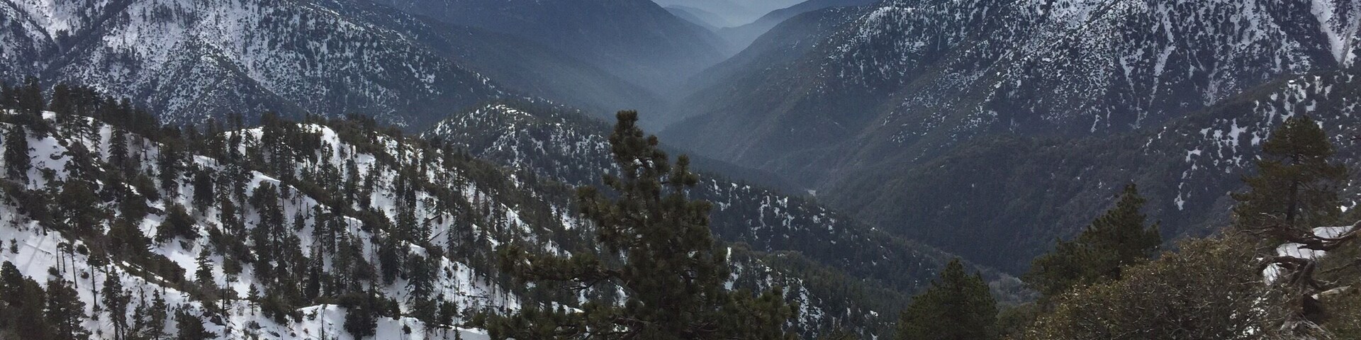 About 5 miles south of Wrightwood, CA. Beautiful anytime but this was a special day. The fog was just creeping out of the valley.