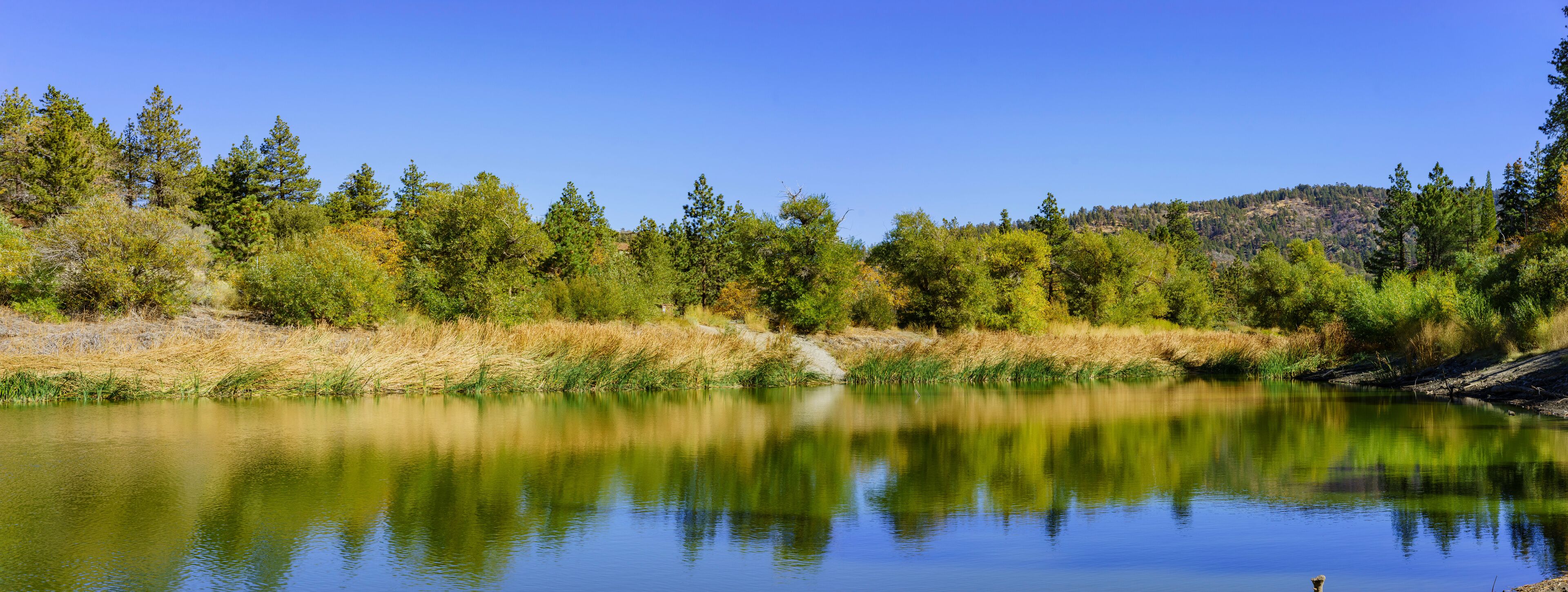 วัลแยร์โม