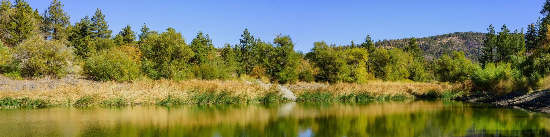 Fall color of Valyermo