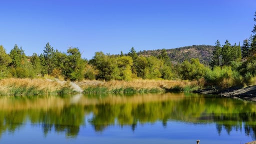 วัลแยร์โม