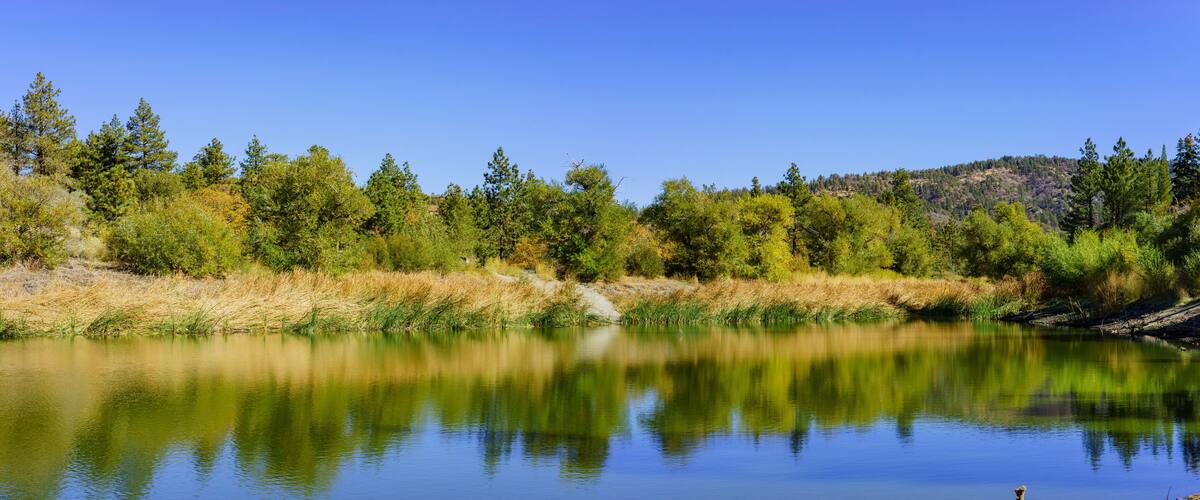 A calm lake reflecting trees and a clear blue sky.