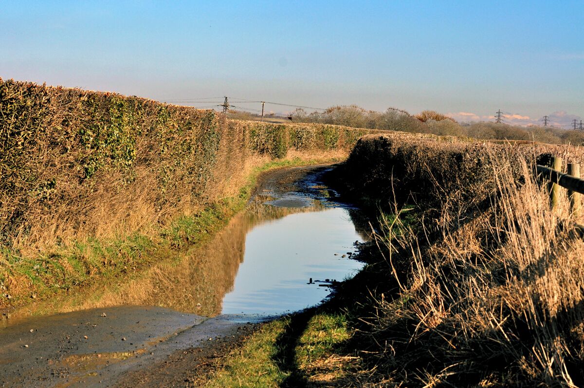 Flooded lane - Llancadle One of many single lane carriageways linking farms, hamlets and small villages in the rural Vale of Glamorgan.