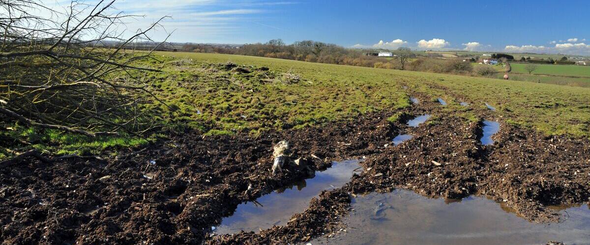 Muddy gateway above the Kenson valley - Llancadle