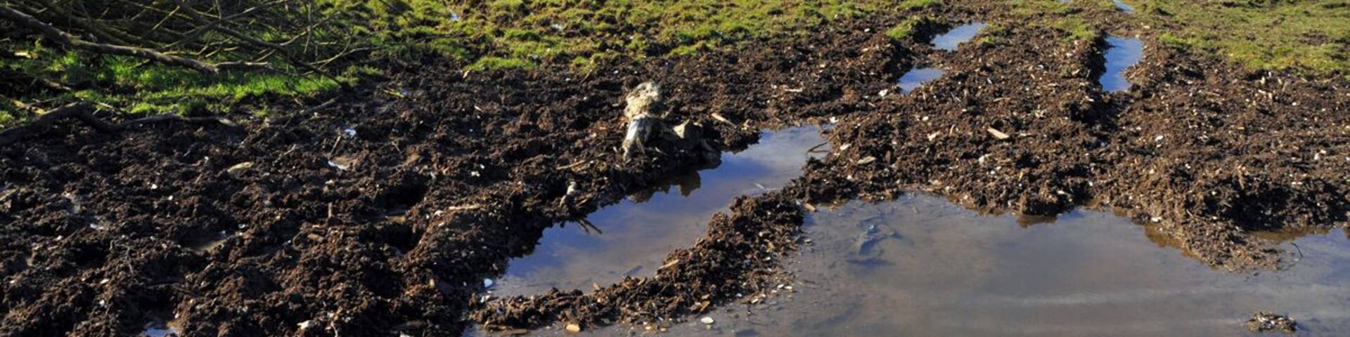 Muddy gateway above the Kenson valley - Llancadle
