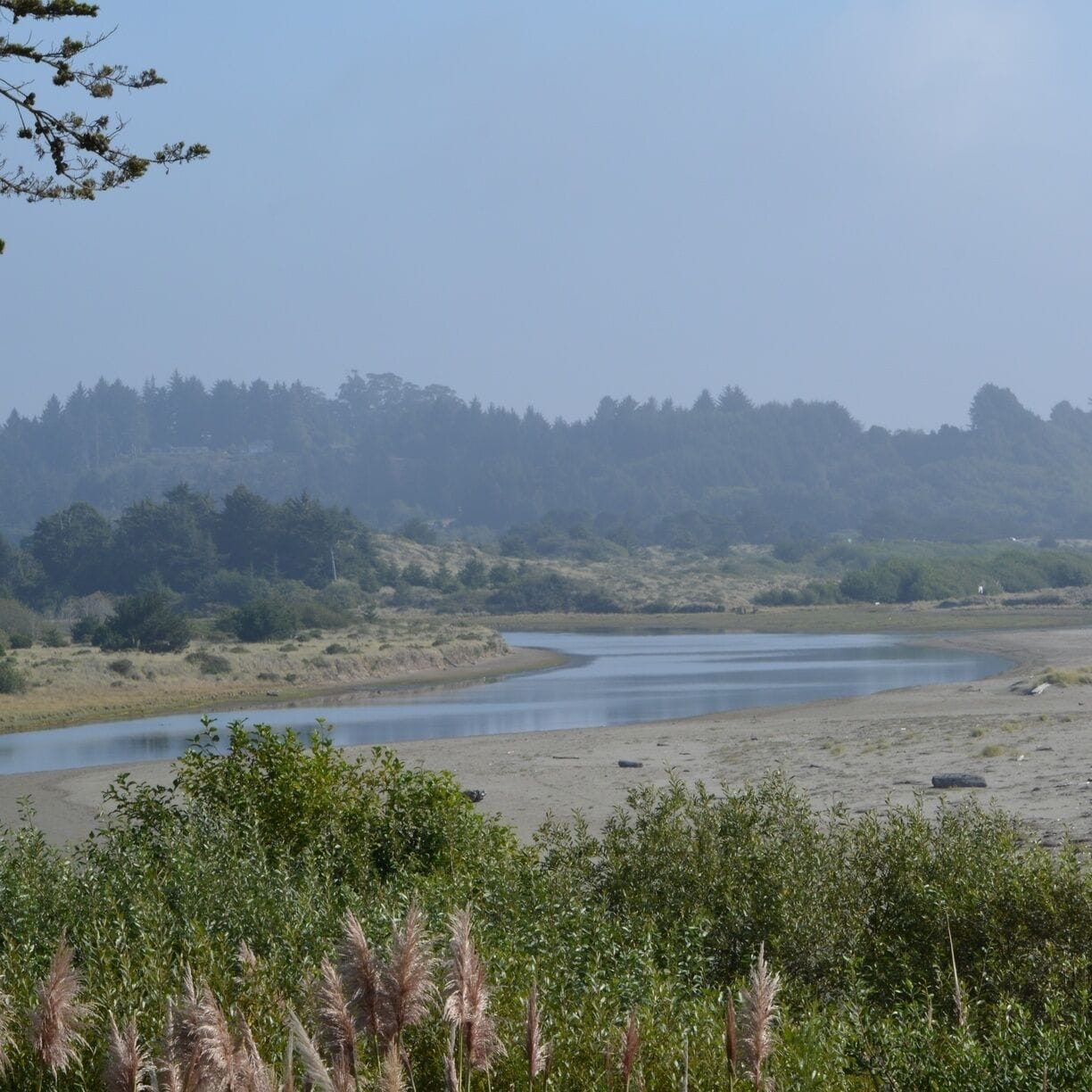Beautiful Little River looking South