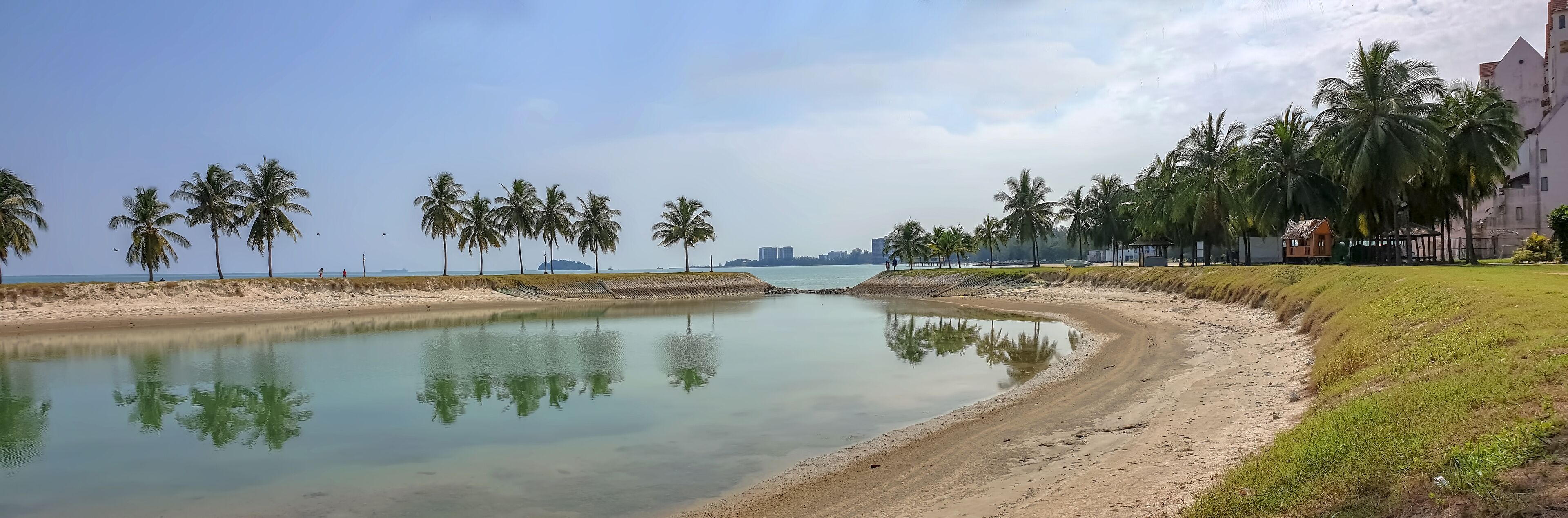 A calm water body with palm trees, a sandy beach, and a distant cityscape.