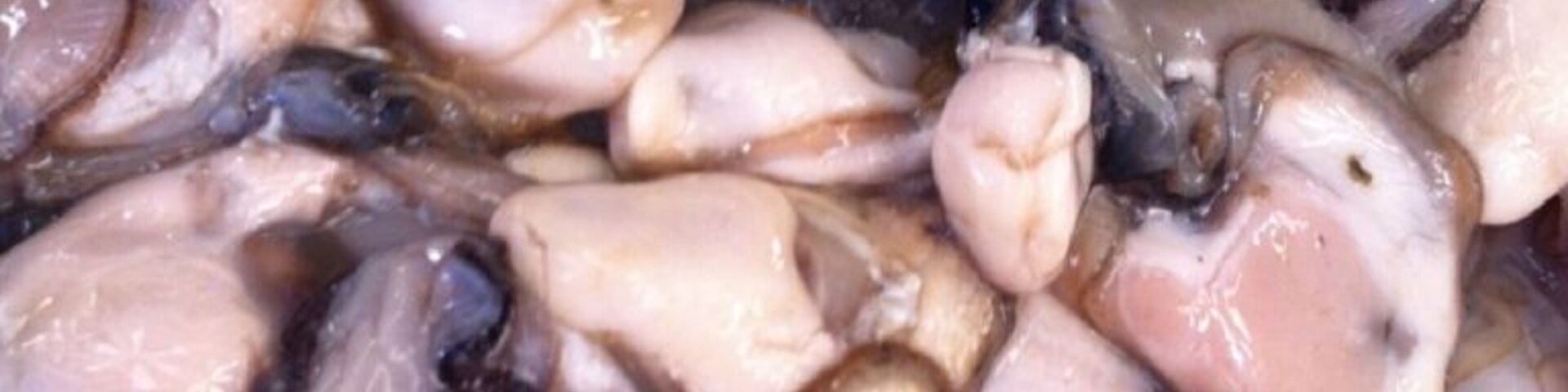 Fresh Oyster at bangsan,chonburi