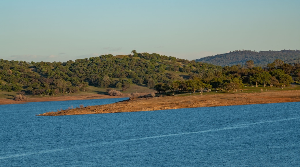 Un lago tranquilo con una pequeña isla en el centro, rodeado de colinas cubiertas de bosques densos.