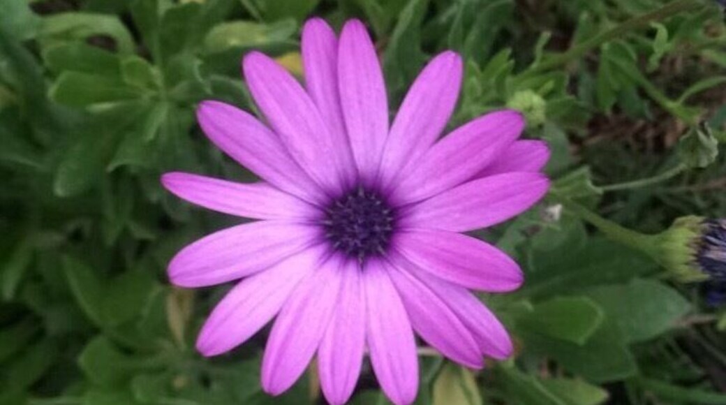 Love taking pictures at grandmas house