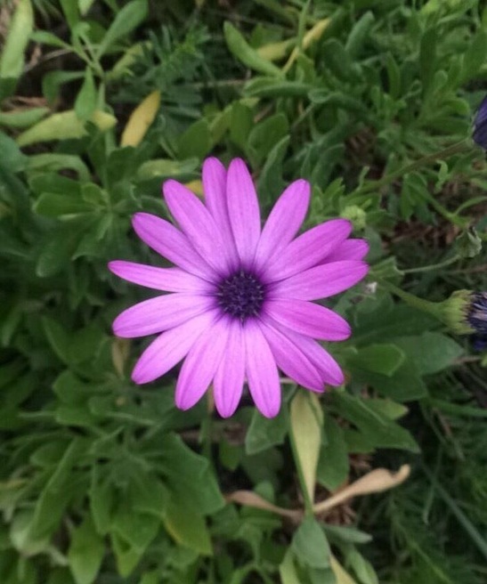 Love taking pictures at grandmas house
