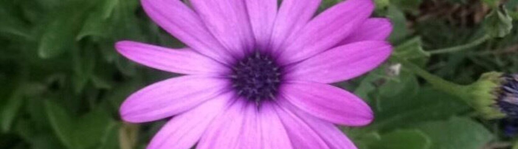 Love taking pictures at grandmas house