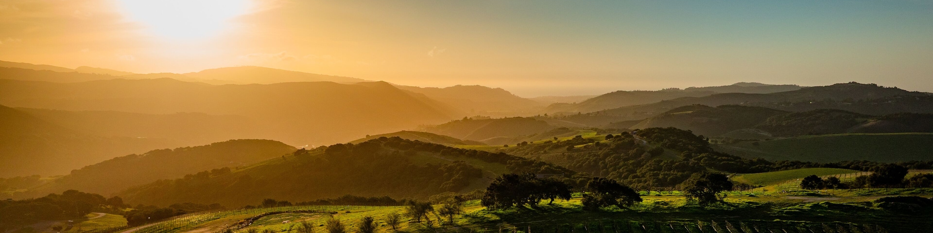 Carmel Valley vineyards glow in a bright winter sunset. An aerial rural scene of rolling hills and golden fields