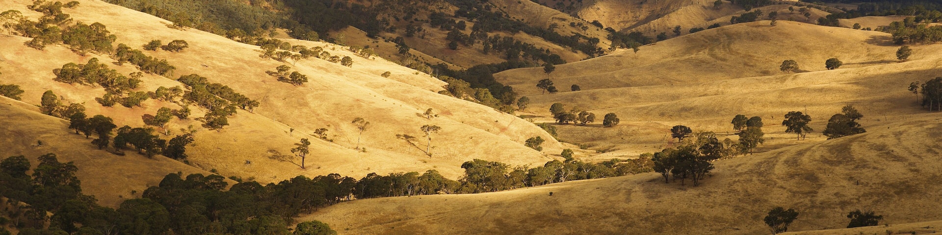 Thompson Valley, Great Dividing Range, Victoria, Australia