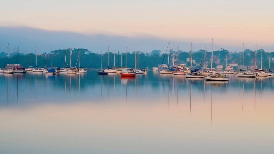 Kogarah Bay's morning!