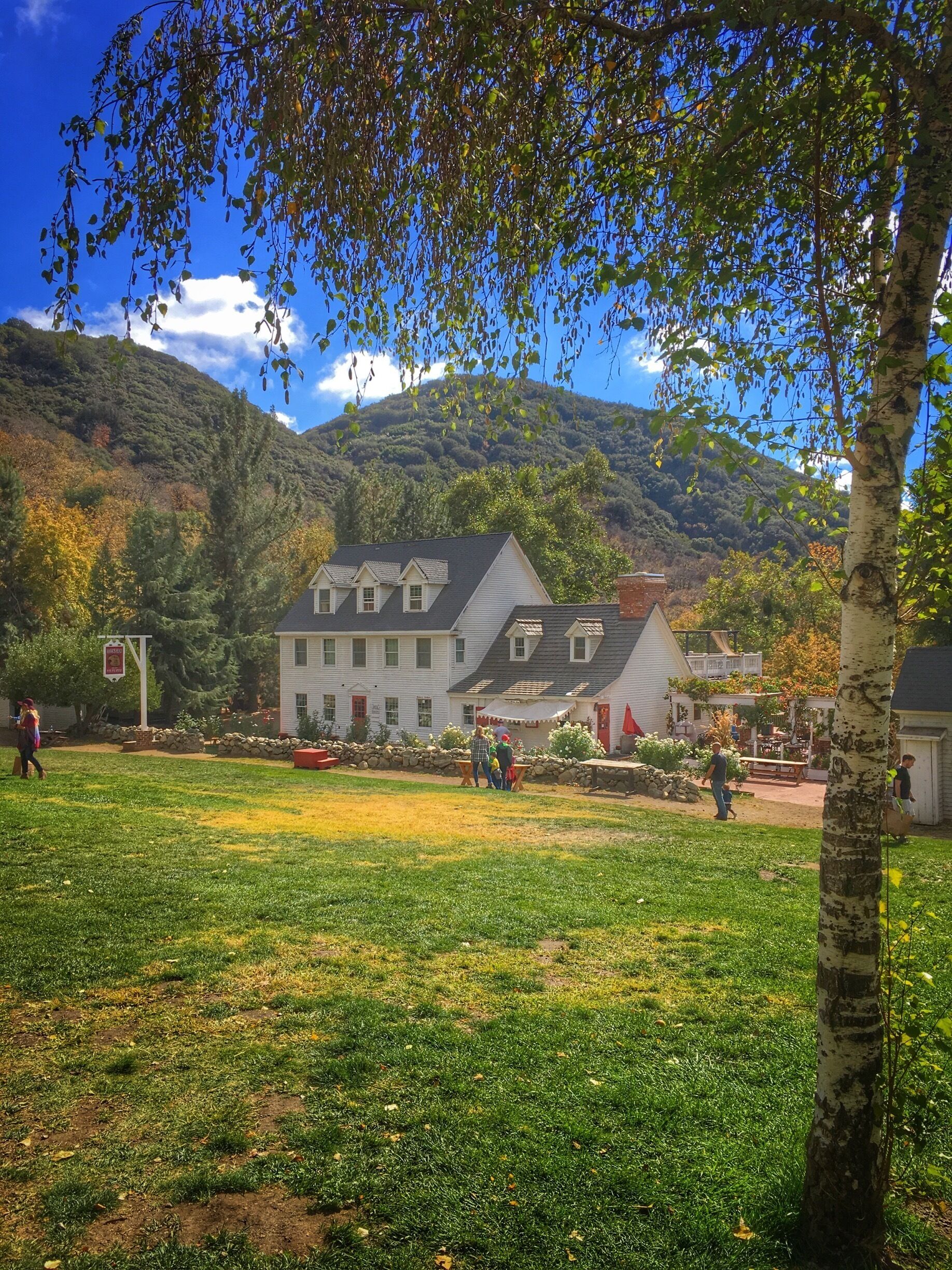 Great place to stop and have lunch. The food was surprisingly amazing. The atmosphere takes you back to a simpler time and the Apple picking makes a fun excursion for everyone! Check out their historic demonstrations on the weekends! 